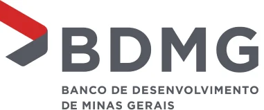 logo bdmg